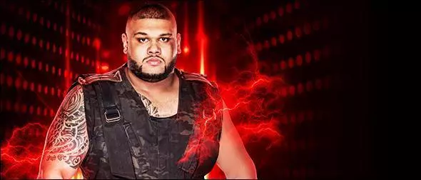 WWE 2K19 Roster Akam Authors of Pain Profile