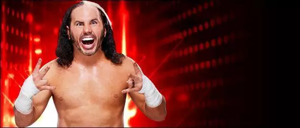 WWE 2K19 Roster Matt Hardy Boyz Superstar Profile