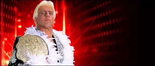 WWE 2K19 Roster Ric Flair Edition Profile