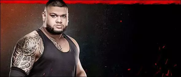WWE 2K20 Roster Akam Authors of Pain Profile