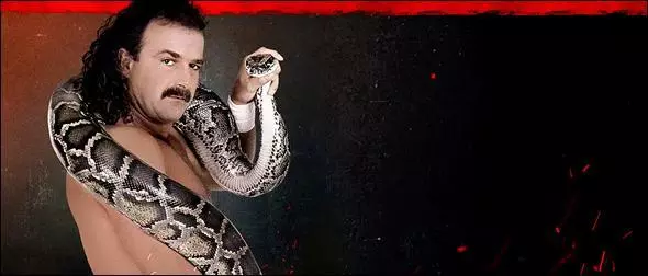 WWE 2K20 Roster Jake The Snake Roberts Superstar Profile