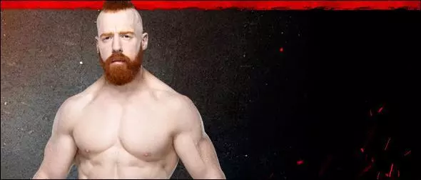 WWE 2K20 Roster Sheamus Superstar Profile