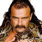 Jake the snake roberts