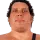 Andre the giant