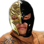 Rey mysterio 2009 december 3