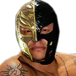 Rey mysterio 2009 december 3