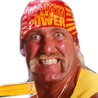 Hulk hogan 80