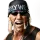 Hollywood hogan