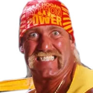 Hulk hogan 80