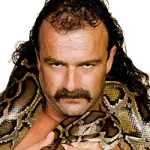 Jake roberts