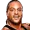 Rob van dam