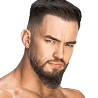 Austin Theory