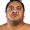 Yokozuna