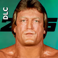 Mr. Wonderful Paul Orndorff