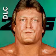 Mr. Wonderful Paul Orndorff