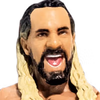 Elite Seth Rollins