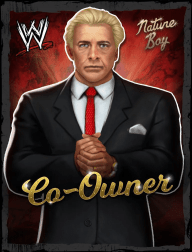 Ric flair 02