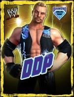 Diamond dallas page