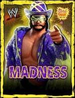 Randy savage madness