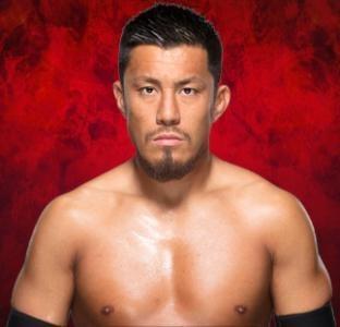 Akira Tozawa - WWE Universe Mobile Game Roster Profile