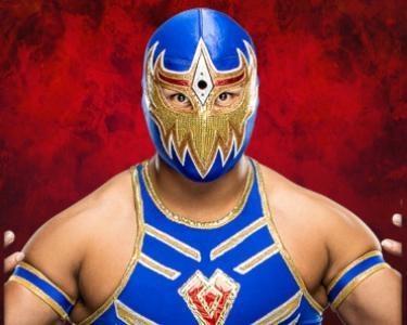 Gran Metalik - WWE Universe Mobile Game Roster Profile Gran Metalik - WWE Universe Mobile Game Roster Profile