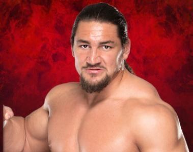 Riddick Moss - WWE Universe Mobile Game Roster Profile Riddick Moss - WWE Universe Mobile Game Roster Profile