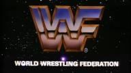 WWF Michigan State Fair