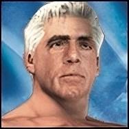 Ric Flair Ric Flair