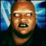 Viscera