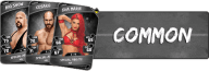 Common Cards (56)
