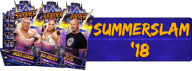 SummerSlam '18 Cards (123)