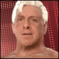 Ric Flair (SvR)