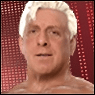 Ric Flair Ric Flair