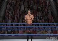 SvR 2011: Nintendo Wii 24 New Pictures Feat. RTWM, Elimination Chamber & More