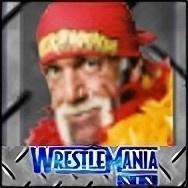 Hulk hogan