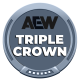 AEW Women Triple Crown Champion AEW Women Triple Crown Champion