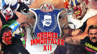 AAA Héroes Inmortales XII