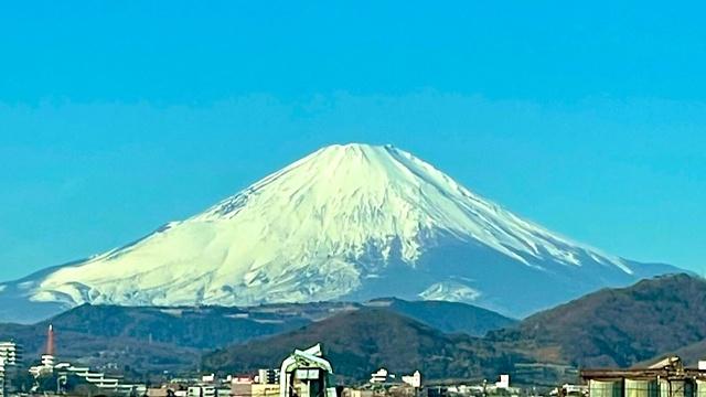 NJPW Mt. Fuji Live