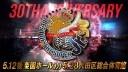 NJPW Best of the Super Jr. 30 Finals