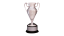 NWA Crockett Cup