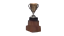 Impact Wrestling Super X Cup