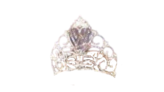 Miss WrestleMania Battle Royal