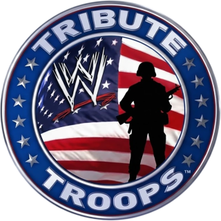 WWE Tribute To The Troops 2009: Logo