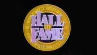 Hall of fame 1993