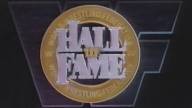 Hall of fame 1994