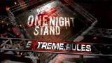 WWE One Night Stand 2008 WWE One Night Stand 2008