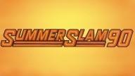 Summerslam 1990