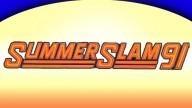 WWF SummerSlam 1991