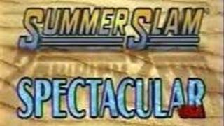 WWF SummerSlam Spectacular (1991) WWF SummerSlam Spectacular (1991)