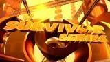 WWE Survivor Series 2003 WWE Survivor Series 2003